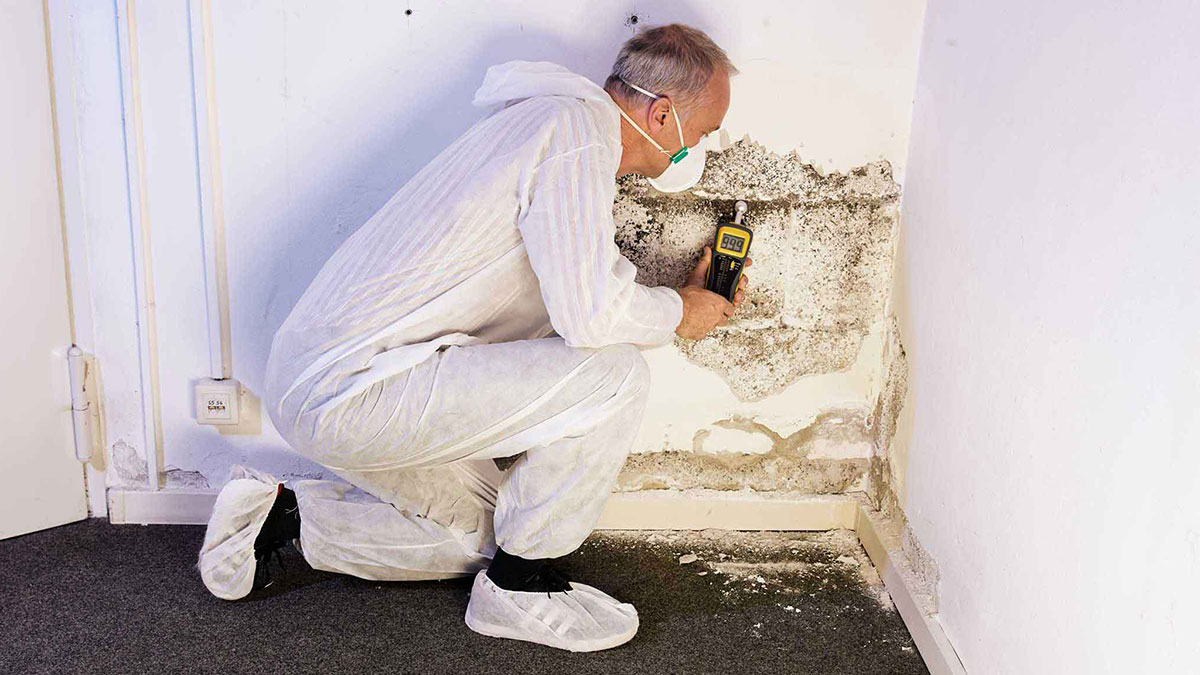 Mold and fungus treatment in crawl space in Hampton Roads, VA